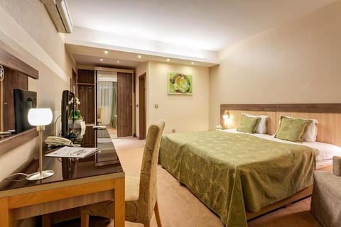 Deluxe Room (Annex) | Minibar, in-room safe, individually decorated, individually furnished
