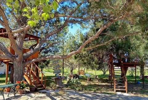 Children's play area - outdoor