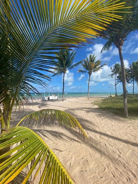 Beach nearby, 10 beach bars