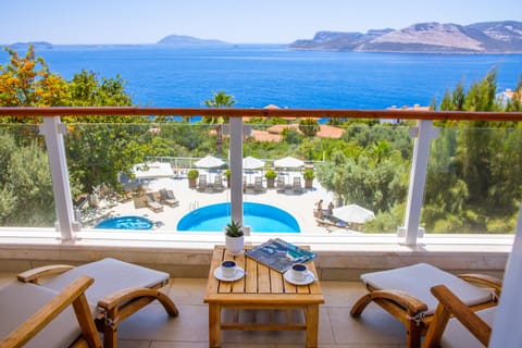 Superior Room | View from room