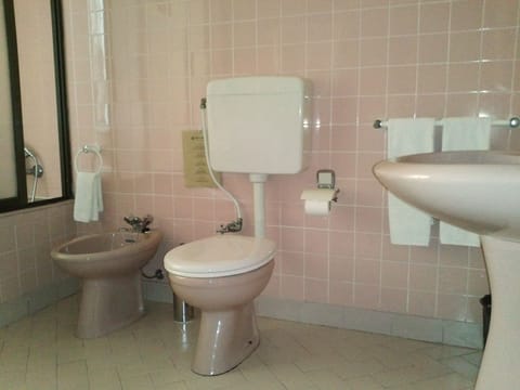 Spring water tub, hair dryer, bidet, towels