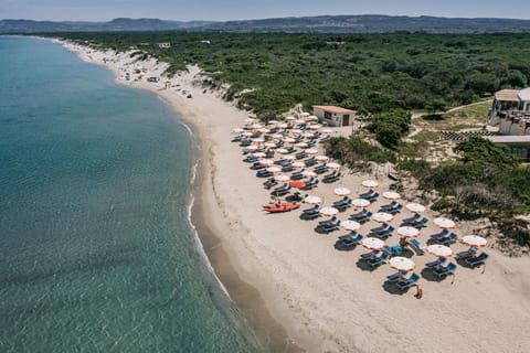 On the beach, sun loungers, beach umbrellas