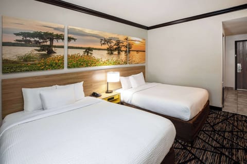 Premium bedding, down comforters, in-room safe, desk