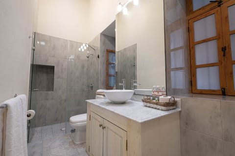 Deluxe Room | Bathroom | Shower, free toiletries, hair dryer, towels