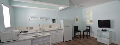 Full-size fridge, microwave