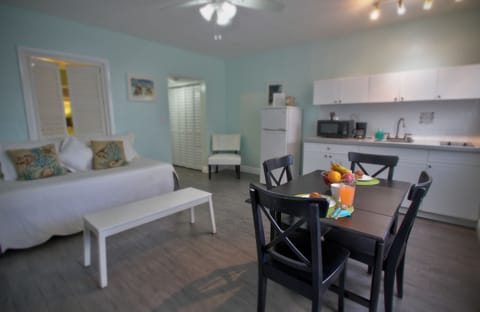 Standard Suite, 1 Bedroom | Individually decorated, individually furnished, iron/ironing board