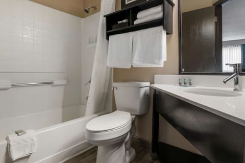 Combined shower/tub, free toiletries, hair dryer, towels