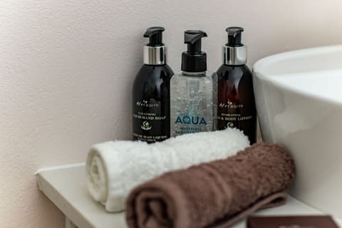 Deluxe Double Room | Bathroom amenities | Free toiletries, hair dryer, bathrobes, slippers