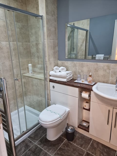 Shower, designer toiletries, hair dryer, towels