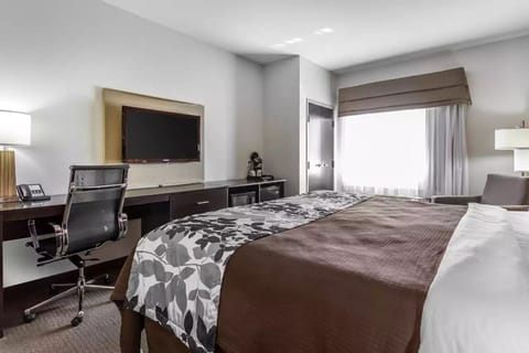 Desk, iron/ironing board, free cribs/infant beds, rollaway beds