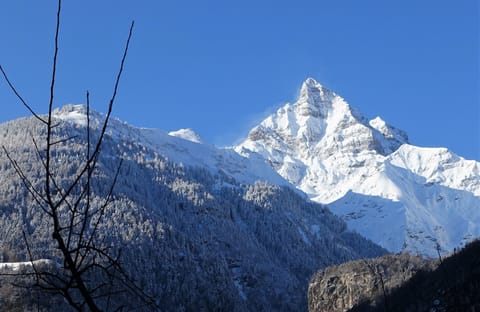 Mountain view