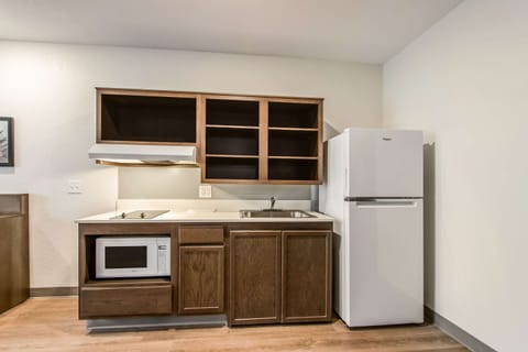 Full-size fridge, microwave, stovetop