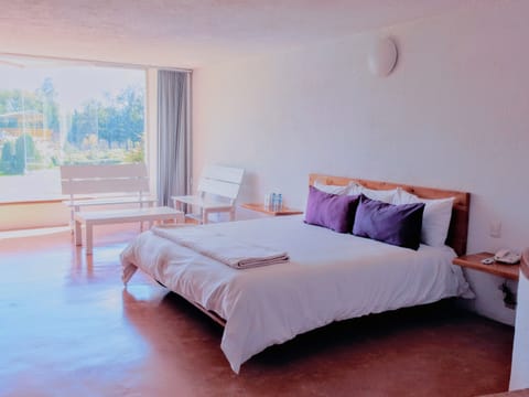 Superior Suite | Down comforters, in-room safe, iron/ironing board, bed sheets