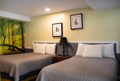 Standard Room, 2 Double Beds, Non Smoking, Private Bathroom (Dog Friendly) | Iron/ironing board, free WiFi, bed sheets, alarm clocks