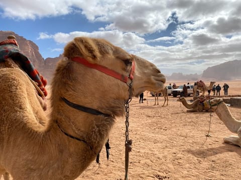 Ecotours
