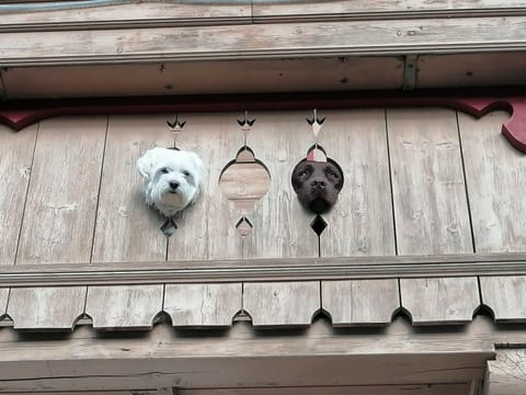 Apartment | Interior detail