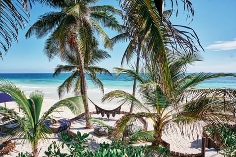 Exclusive Cabin, 1 King Bed, Terrace, Ocean View | Egyptian cotton sheets, premium bedding, down comforters, pillowtop beds