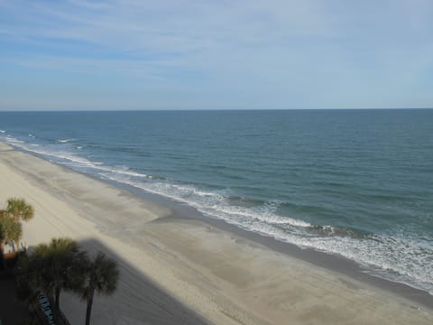 Condo, 1 Bedroom | Beach | On the beach