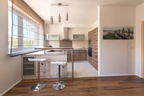 Standard Apartment | Private kitchenette | Full-size fridge, microwave, oven, stovetop