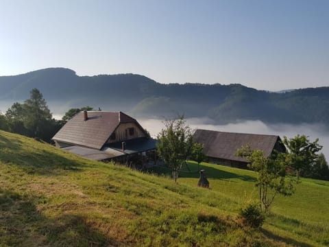 Family House | Mountain view