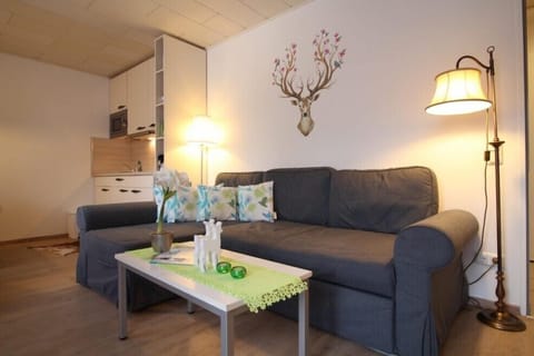 Apartment, Balcony (Esterberg) | Living area | Flat-screen TV