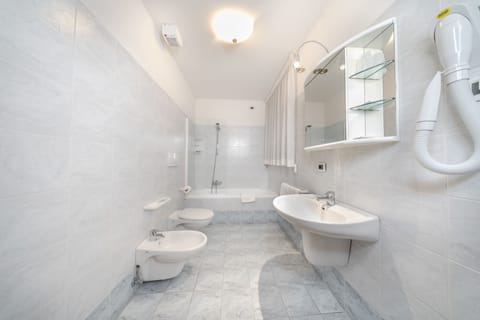 Shower, free toiletries, hair dryer, bidet