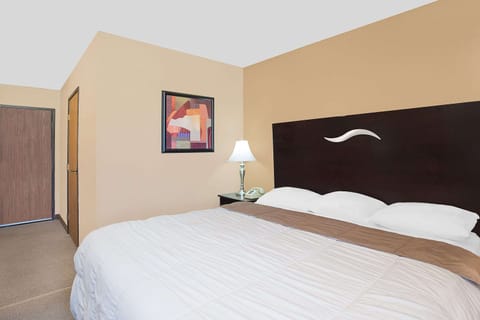 Room, 1 Queen Bed, Accessible, Non Smoking | Desk, laptop workspace, iron/ironing board, cribs/infant beds