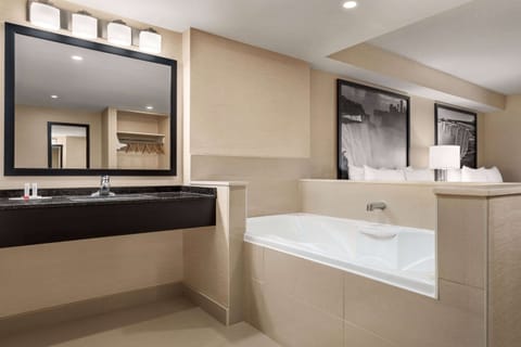 Eco-friendly toiletries, hair dryer, towels