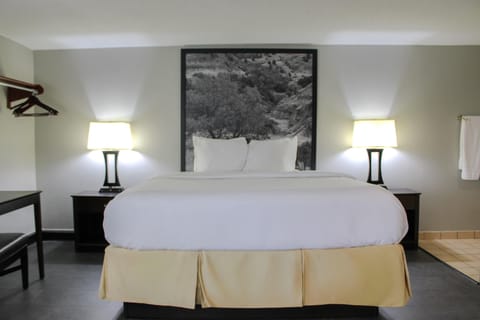 Deluxe Studio Suite, 1 King Bed, Non Smoking | Desk, iron/ironing board, free cribs/infant beds, rollaway beds