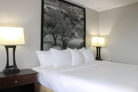 Room, 1 Queen Bed, Non Smoking | Desk, iron/ironing board, free cribs/infant beds, rollaway beds