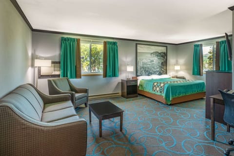 Studio Suite, 1 King Bed, Non Smoking | Desk, free cribs/infant beds, rollaway beds, free WiFi