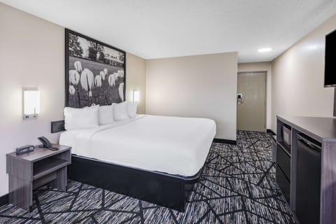 Room, 1 King Bed, Non Smoking | Desk, blackout drapes, free WiFi, bed sheets