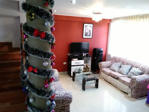 TV