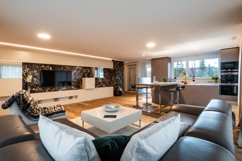 Suite (Penthouse) | Living area | Flat-screen TV
