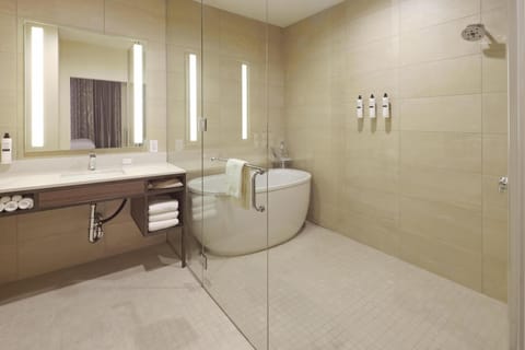 Free toiletries, hair dryer, towels, soap