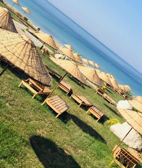 On the beach, free beach shuttle
