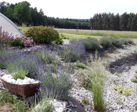 House | Garden