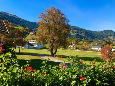 Apartment | Exterior