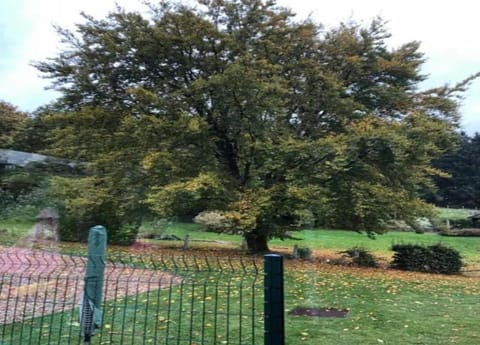 House | View from property