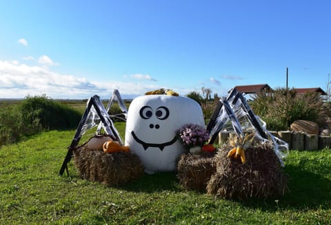 Apartment | View from property