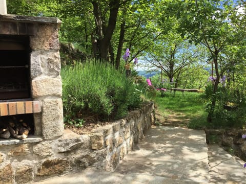 House | Property grounds
