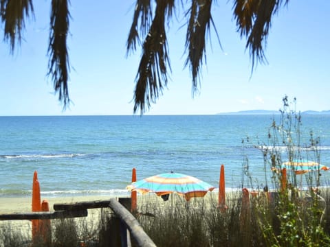 House | View from property