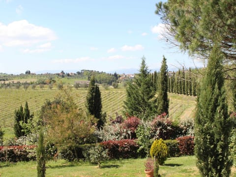 House | View from property