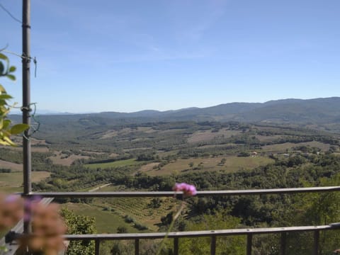 House | View from property