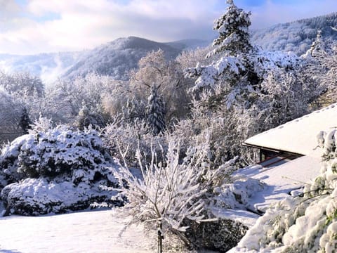 Chalet | Exterior