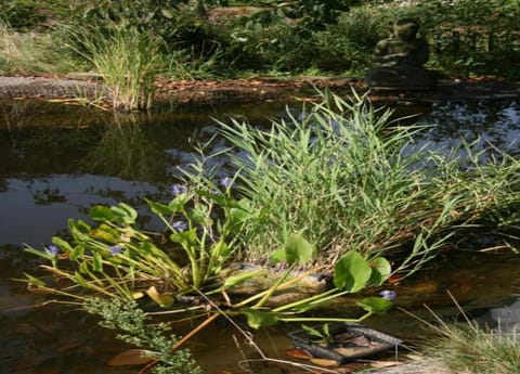 House | View from property