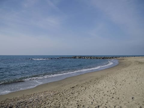 On the beach, 5 beach bars