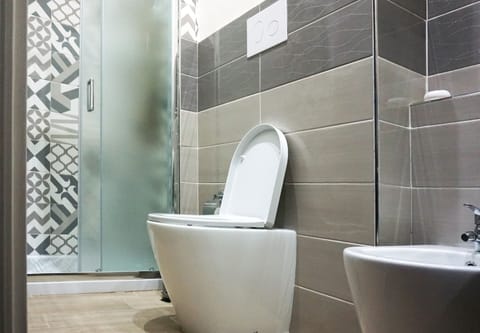 Shower, hair dryer, bathrobes, slippers