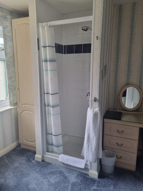 Single Room (Room 3) | Individually decorated, individually furnished, desk, iron/ironing board