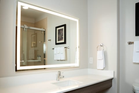 Suite, 1 King Bed with Sofa bed, Corner (Walk-In Shower) | Bathroom | Free toiletries, hair dryer, towels, soap